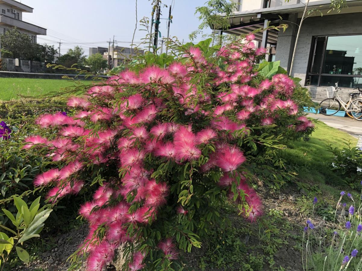 Early Summer Луодонг Екстериор снимка